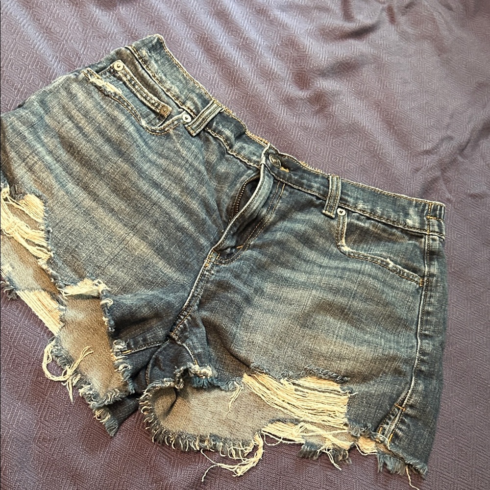 Aerie Blue Distressed Jean Shorts